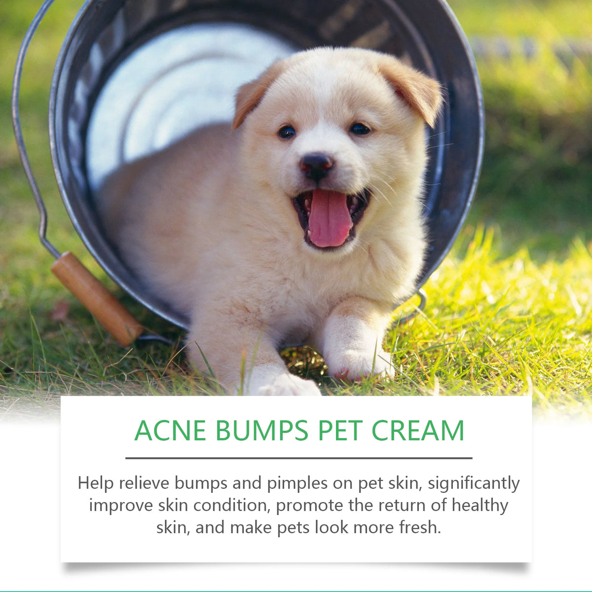 Pet Acne & Bumps Skin Cream, Soothing Skin for Dogs & Cats, Relief Redness Irritated Skin with Calendula & Ganoderma Extract